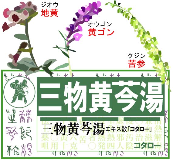 手足のほてり 肌の乾き 痒み イライラ 漢方薬 くすりのまるぜん佐藤 福島県田村市 Meron 町のくすり屋さんが集まるポータルサイト